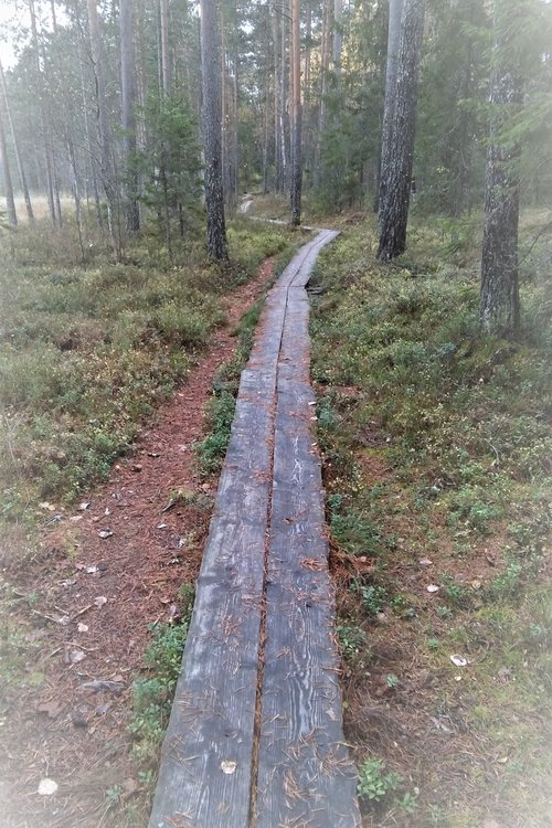 polku