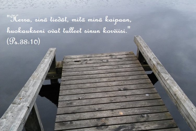 laituri_THUMB.jpg
